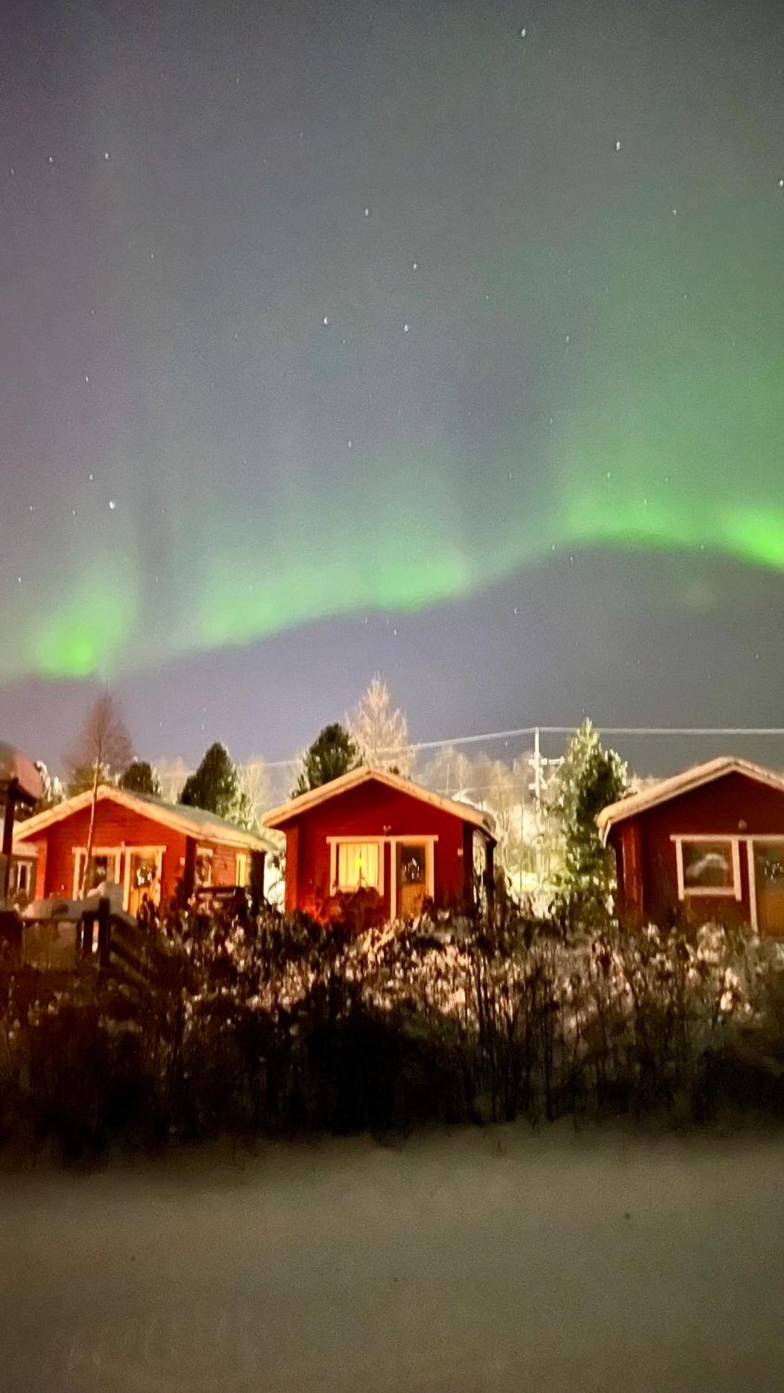 Lapland Arctic * Kemijärvi