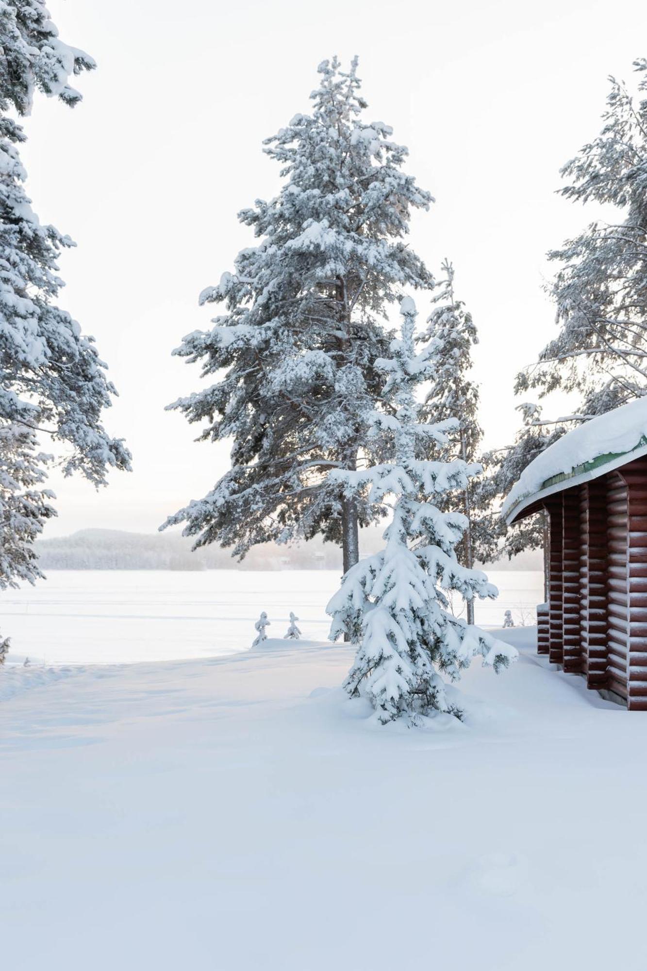 Lapland Arctic Kemijärvi