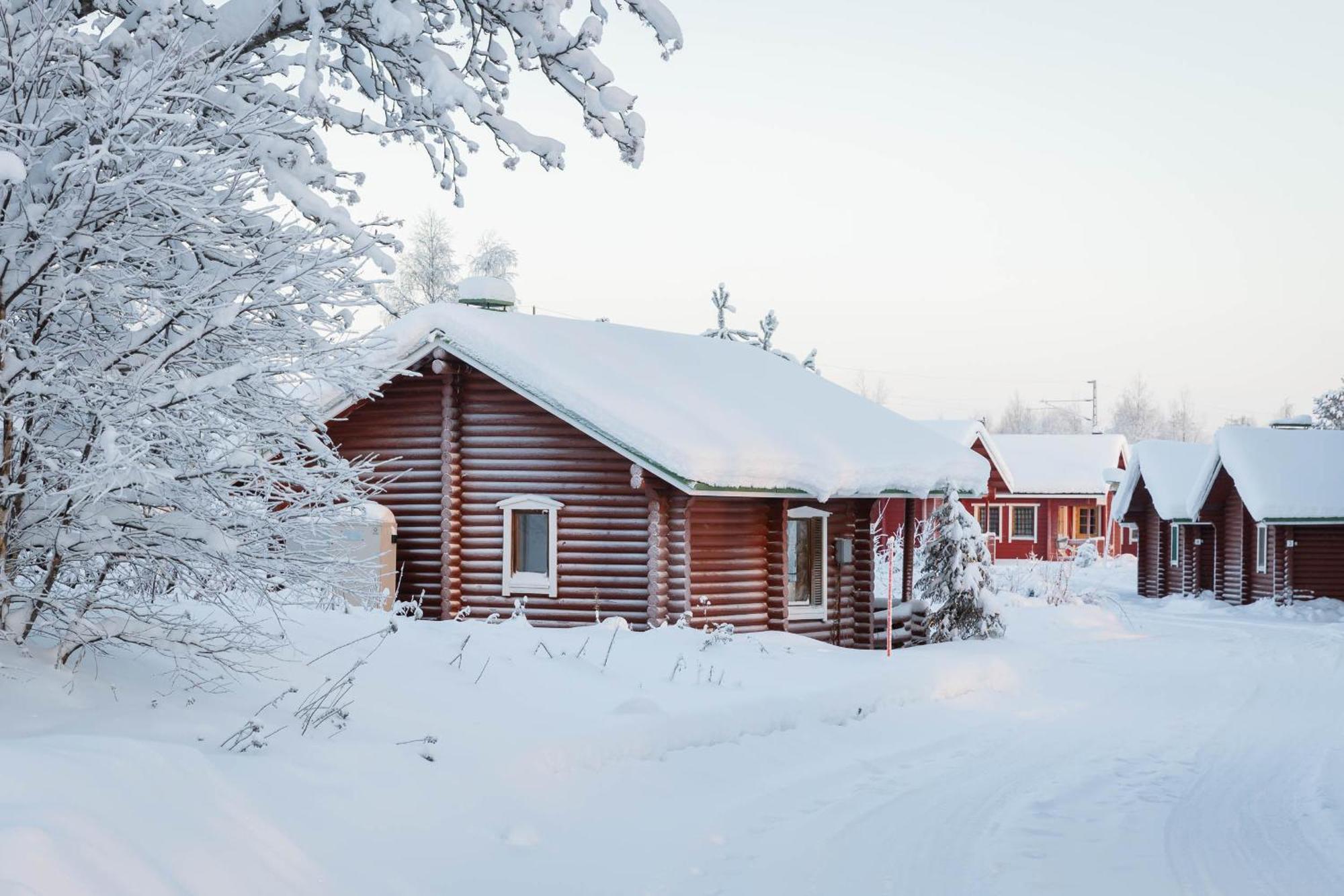 Lapland Arctic *