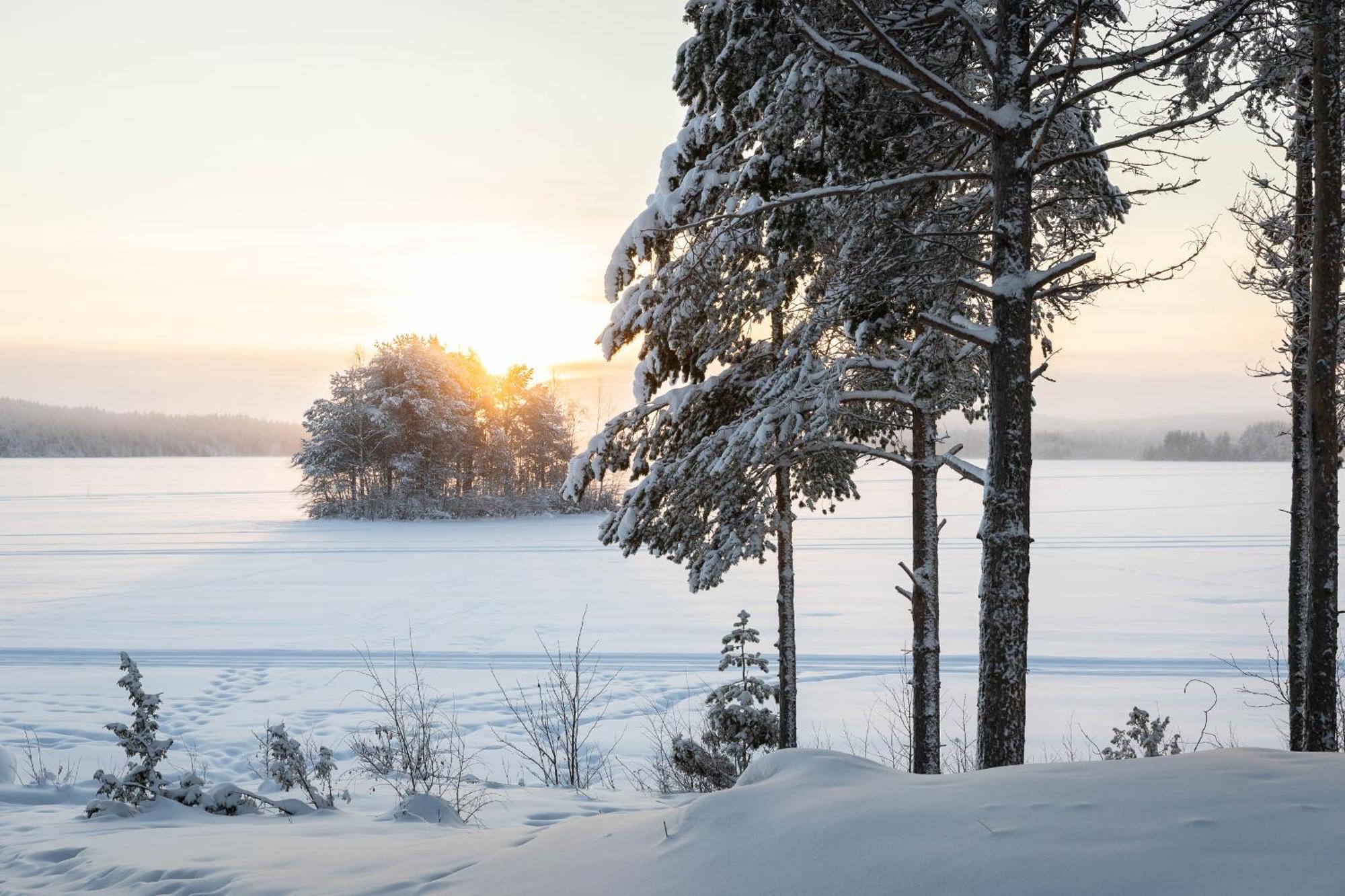 Lapland Arctic Apartment
