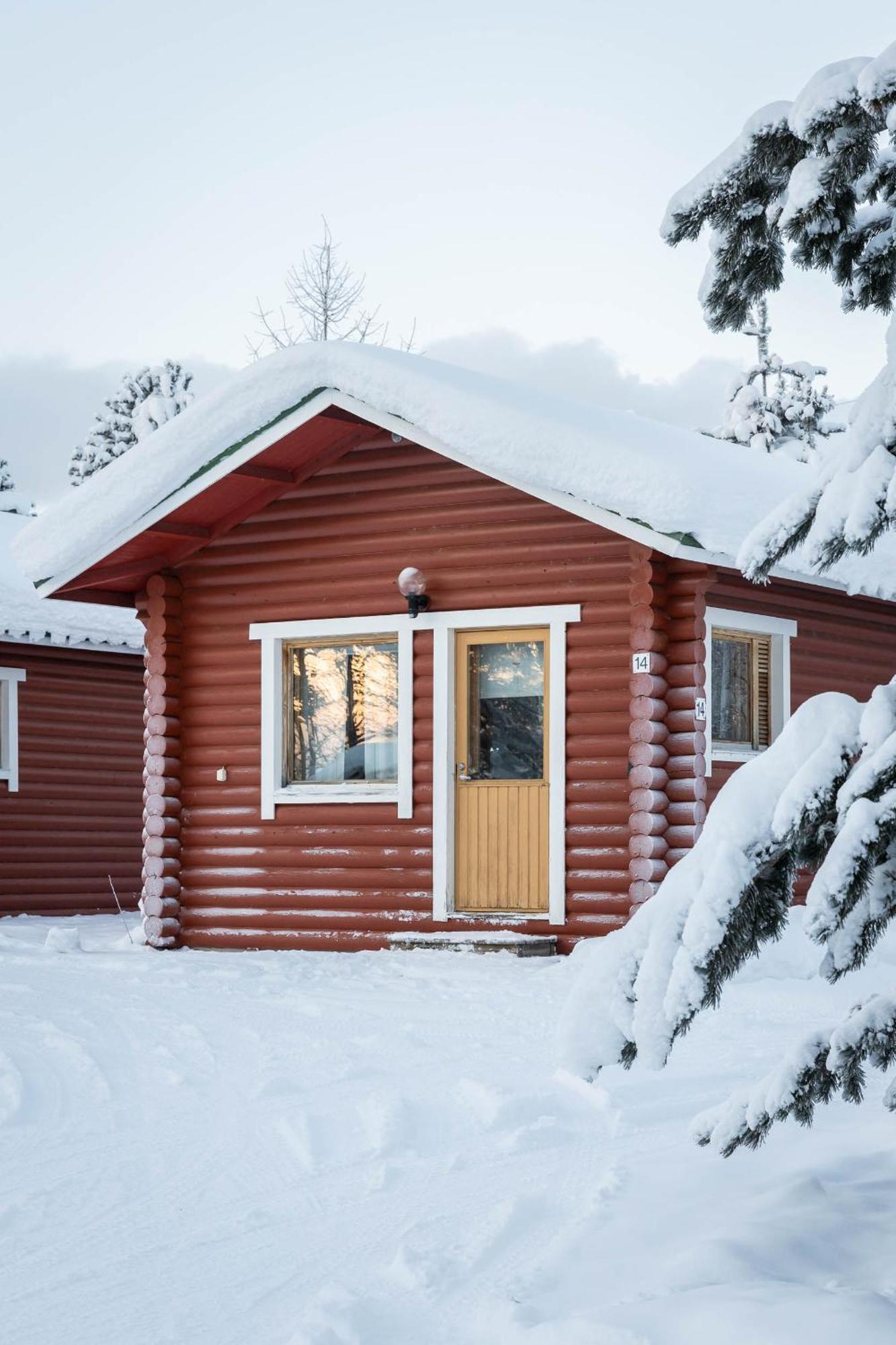 Lapland Arctic *